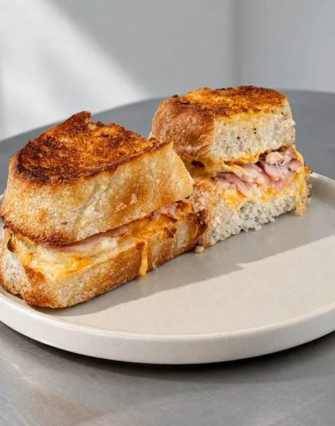 Toasted Turkey Cheese Sandwich cut in half on a plate at Zayn Coffee